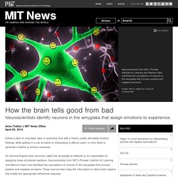 How the brain tells good from bad