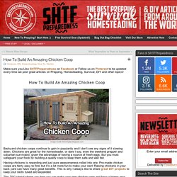 How To Build An Amazing Chicken Coop