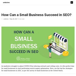 How Can a Small Business Succeed in SEO?