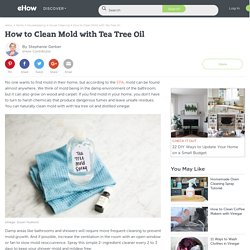 How to Clean Mold with Tea Tree Oil