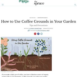 How to Use Coffee Grounds in Your Garden