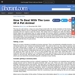 How To Deal With The Loss Of A Pet Animal