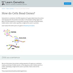 How do Cells Read Genes?