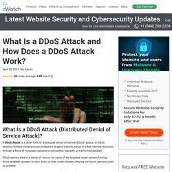 How Does a DDoS Attack Work?