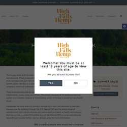 How does CBD work - High Falls Hemp