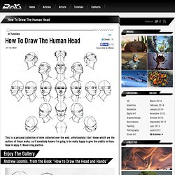 How To Draw The Human Head