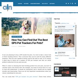 How You Can Find Out The Best GPS Pet Trackers For Pets? - Articles Cloud