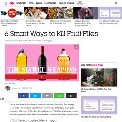 How to Get Rid of Fruit Flies - 6 Ways to Kill Fruit Flies