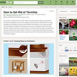 How to Get Rid of Termites: 13 Steps