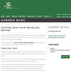 Getting Your Yard Ready For Spring