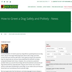 How to Greet a Dog Safely and Politely - News