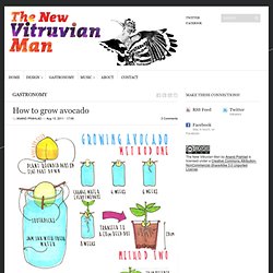 The New Vitruvian Man