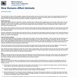 How Humans Affect Animals
