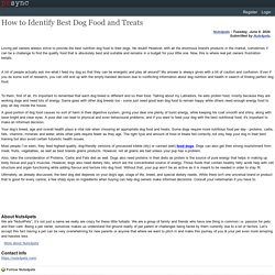How to Identify Best Dog Food and Treats