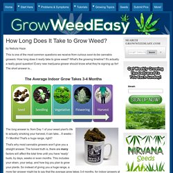 How Long Does It Take to Grow Weed?