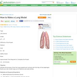 Build Your Own Lungs