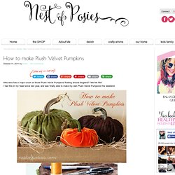 Nest of Posies: How to make Plush Velvet Pumpkins