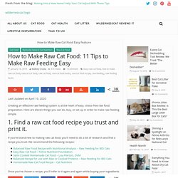 How to Make Raw Cat Food: 11 Hacks to Make it Easy