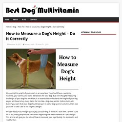 How to Measure a Dog's Height - Do it Correctly