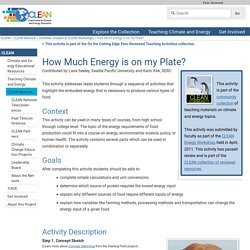 How Much Energy is on my Plate?