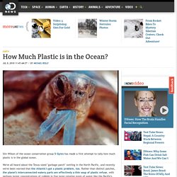 How Much Plastic is in the Ocean?
