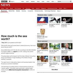 How much is the sea worth? - BBC News
