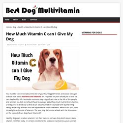 How Much Vitamin C can I Give My Dog