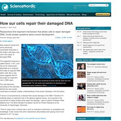 How our cells repair their damaged DNA