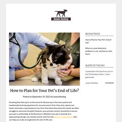 How to Plan for Your Pet’s End of Life?