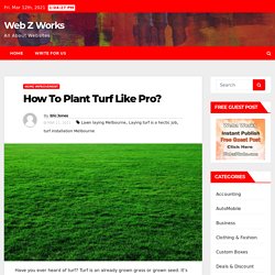How To Plant Turf Like Pro? – Web Z Works