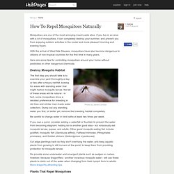 How To Repel Mosquitoes Naturally