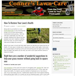 How To Restore Your Lawn’s Health
