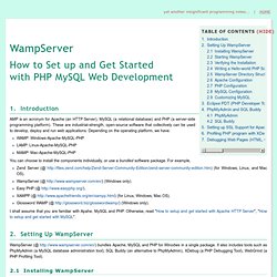 How to set up and get started with WampServer