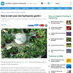 How to start your own hydroponic garden