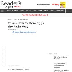 How to Store Eggs the Right Way