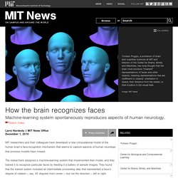 How the brain recognizes faces