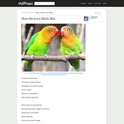 How the Love Birds Met