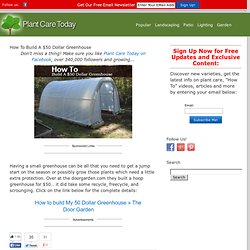 How To Build A $50 Dollar Greenhouse -