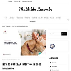 How To Cure Ear Infection In Dog?
