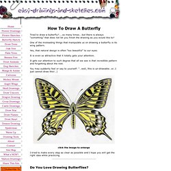 How To Draw A Butterfly