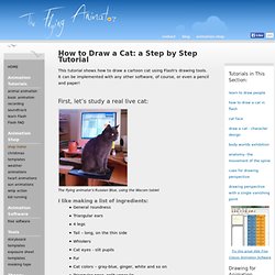 How To Draw A Cat: Step By Step Tutorial