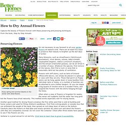 How to Dry Annual Flowers