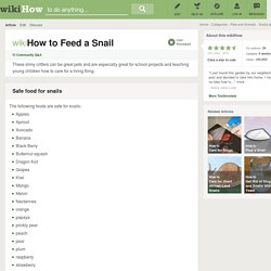 How to Feed a Snail: 5 Steps