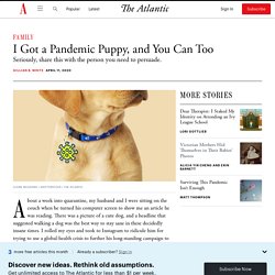 How to Get a Pandemic Puppy