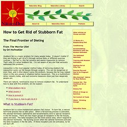 How to Get Rid of Stubborn Fat
