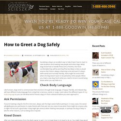 How to Greet a Dog Safely
