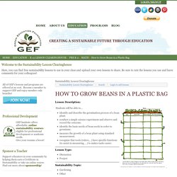How to Grow Beans in a Plastic Bag