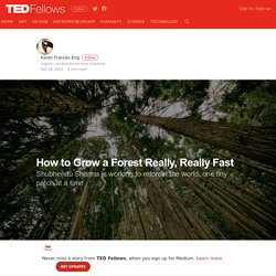 How to Grow a Forest Really, Really Fast – TED Fellows