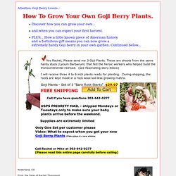 How To Grow Goji Berries