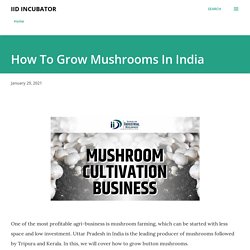 How To Grow Mushrooms In India